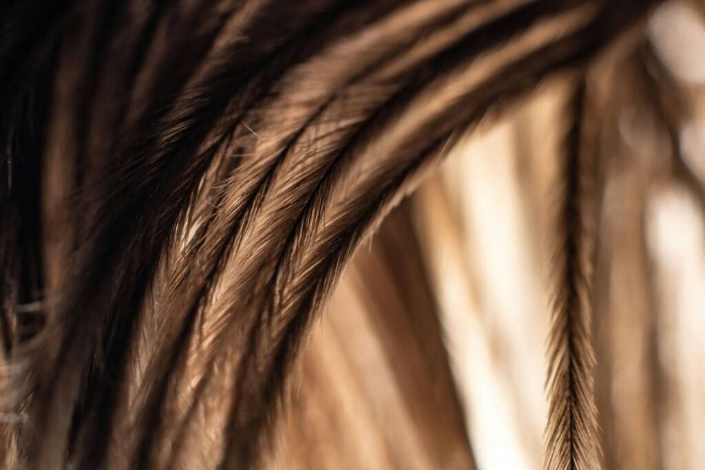 How to Style the Perfect Ponytail with Tape-In Extensions (Without Ruining Your Hair)