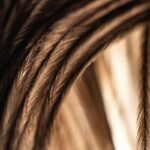 How to Style the Perfect Ponytail with Tape-In Extensions (Without Ruining Your Hair)
