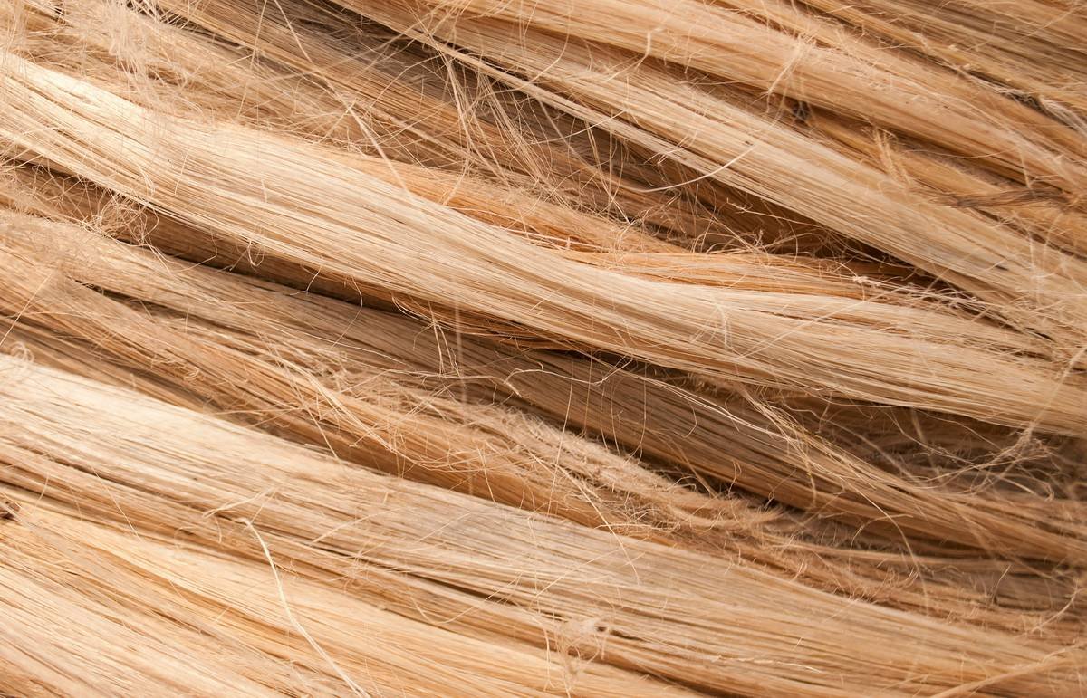 ponytail extension colors: how to match your mane without looking like a mannequin
